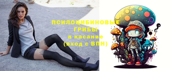 apvp Арсеньев
