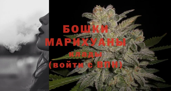 apvp Арсеньев